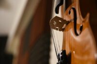 Viola