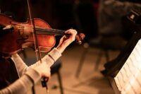 Violin