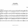 Citadelle, for string orchestra - Opus 105 - Image 2