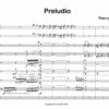 Huillet: Preludio, for chamber orchestra - Opus 38 - Image 2