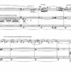 Huillet: 17 Haïku, for cello and piano - Opus 36 - Image 3