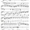 2 Cadences for Mozart’s Concerto K414 - Opus 89 - Image 2