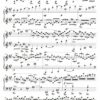 2 Cadences for Mozart’s Concerto K414 - Opus 89 - Image 3