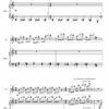 Huillet: 7 Haïku, for flute and piano - Opus 63 - Image 3