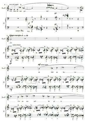 Huillet: Carmen est maigre - Opus 82 - Image 3