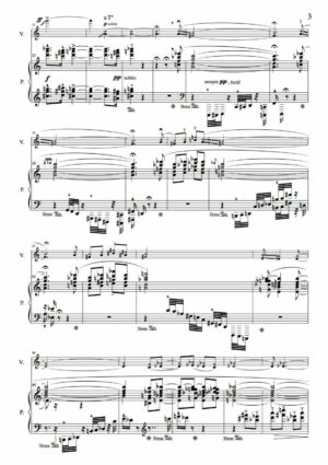 Huillet: Amazonia, for violin and piano - Opus 46 - Image 3