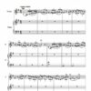 Porumbescu: Balada, transcription and harmonization for violin and piano (or organ) by Thierry Huillet - Opus 40 (piano) & Opus 40d (organ) - Image 2