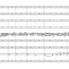 Porumbescu: Balada, transcription and harmonization for 8 instruments by Thierry Huillet  - Opus 40e - Image 3
