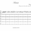 Porumbescu: Balada, transcription and harmonization for violin and string orchestra (optional flute) by Thierry Huillet - Opus 40c - Image 2