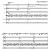 Concerto for cello and string orchestra - Opus 99 - Image 2