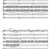 Concerto for cello and string orchestra - Opus 99 - Image 3