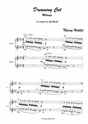 Huillet: Dreaming cat, for 2 pianos - Opus 67 - Image 2