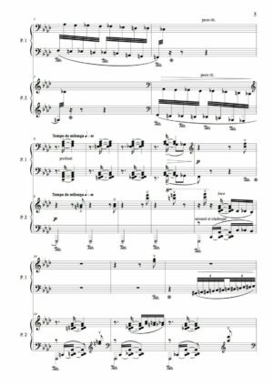 Huillet: Dreaming cat, for 2 pianos - Opus 67 - Image 3