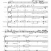 Huillet: Prelude, for viola and string orchestra  - Opus 31c - Image 2