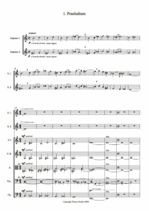Huillet: Un Requiem, for soprano or tenor and string orchestra - Opus 84 - Image 3