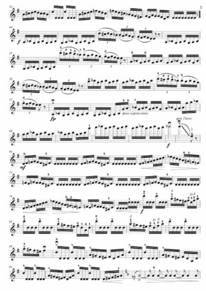 Rhapsody for solo violin - Opus 106 - Image 3