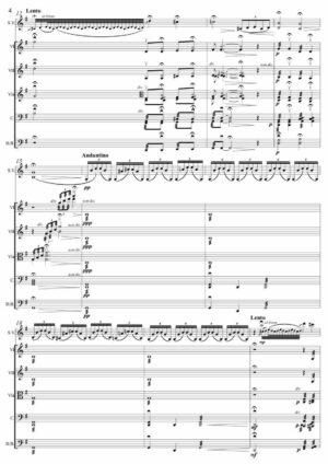 Romanian Rhapsody n°1 “Evocation”, for violin (or viola) and string orchestra - Opus 101 - Image 3
