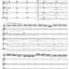Romanian Rhapsody n°2 “Spirals”, for violin and string orchestra - Opus 102 - Image 3