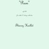 Romanian Rhapsody n°4 “Poem”, for violin and string orchestra - Opus 104