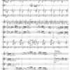 Romanian Rhapsody n°4 “Poem”, for violin and string orchestra - Opus 104 - Image 3