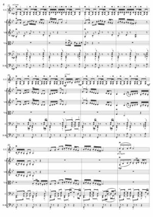 Romanian Rhapsody n°4 “Poem”, for violin and string orchestra - Opus 104 - Image 3