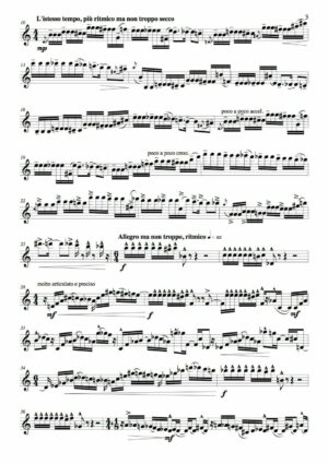 Huillet: Solo porteño, for solo oboe - Opus 73 - Image 3