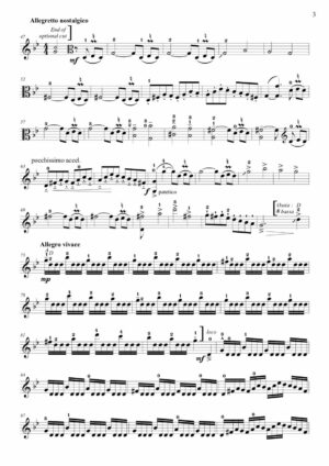 The Viola Rhapsody, for solo viola - Opus 109 - Image 3