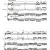 Huillet: Wirbel for violin, cello and piano - Opus 12 - Image 2